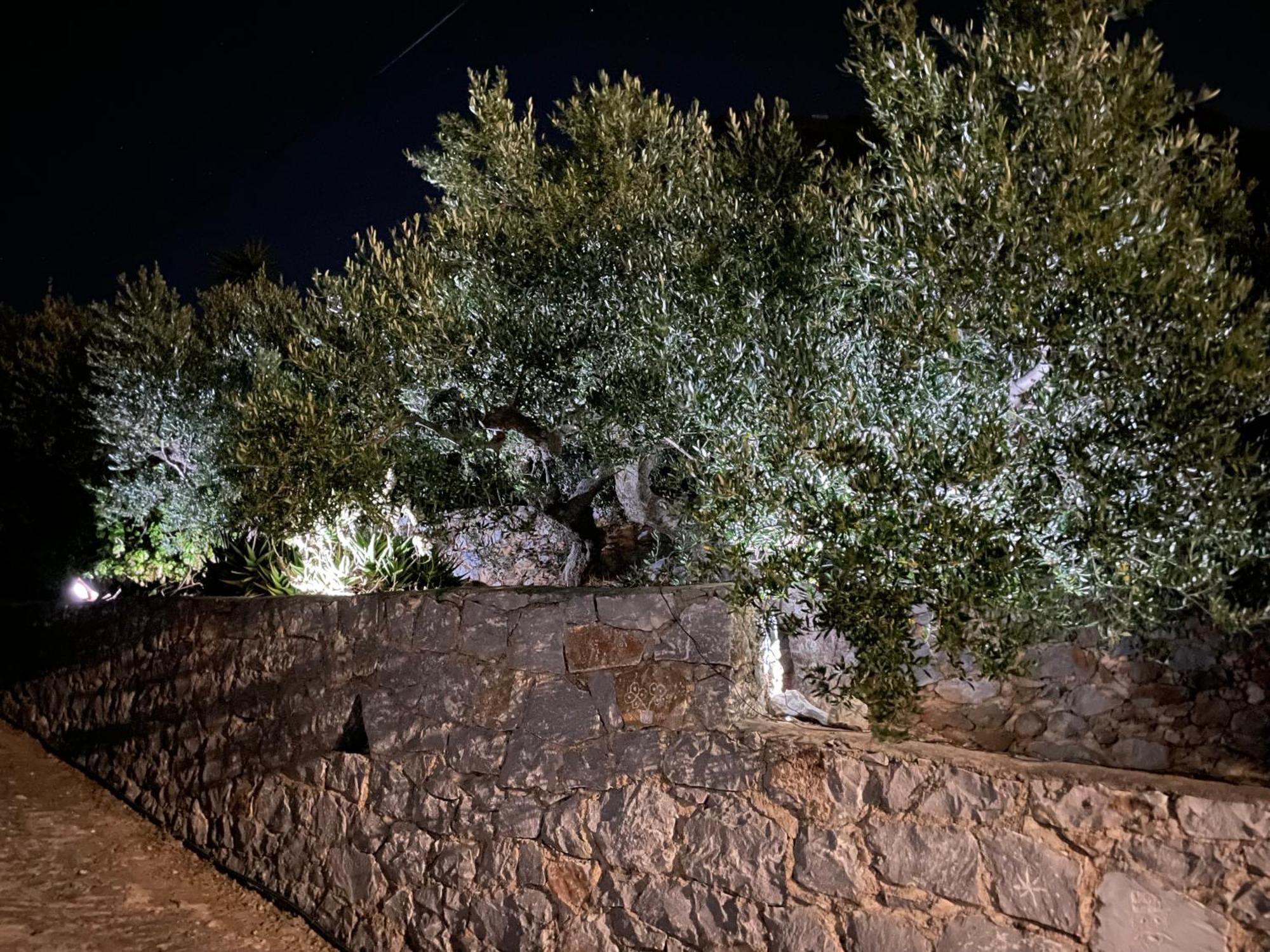 Πύργος Παραδοσιακός Με Μαγευτική Θέα - Villa Traditional Tower With Amazing Sea View 阿里奥波利斯 外观 照片